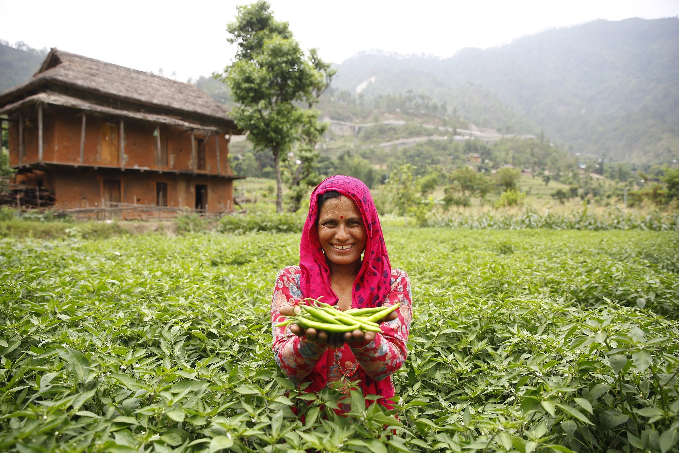 Sweden Strengthens Partnership To Accelerate Economic Empowerment For Rural Women World Food